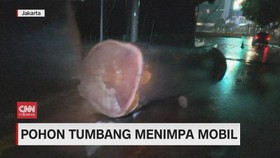 VIDEO: Pohon Tumbang Timpa Mobil, Plafon Gedung KPK Jebol
