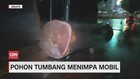 VIDEO: Pohon Tumbang Timpa Mobil, Plafon Gedung KPK Jebol