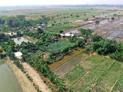 Resesi di Depan Mata, Ini Jurus Risma Selamatkan Surabaya