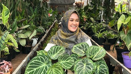 Detik Network