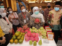 Misi Dagang Jatim Digelar Virtual, Khofifah Optimis Pelaku Usaha Terus Bergeliat