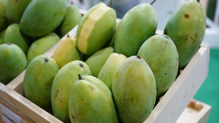 Mangga Asia, Vietnam, Agriculture, Asian Market, Close-up, Asian Nations, Bunch, Business