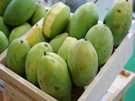 Resep Manisan Mangga Muda, Asam Manis Menggoyang Lidah