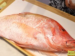 Wow! YouTuber Ini Mukbang Ikan Kakap Goreng 7 Kg