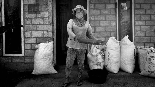 FOTO: Mimpi Panjang Transmigran di Kerinci Raih Kesejahteraan