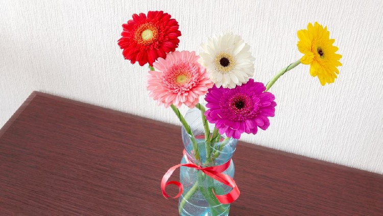 Five colorful Gerbera flowers in a plasctic water bottle with a red ribbon, on a wooden table