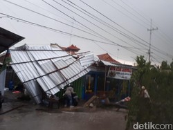 Hujan Angin Kencang di Bojonegoro Tumbangkan Pohon Hingga Rusak Atap Rumah