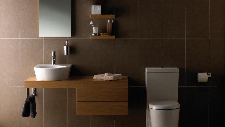 Interior of spacious bathroom in brown