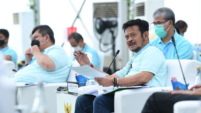 Menurut Mentan Syahrul Yasin Limpo, di Musim Tanam II 87 persen lahan sudah ditanami, dengan perkiraan menghasilkan sekitar 15 juta lebih ton beras.