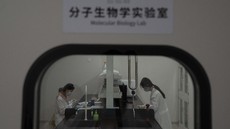 Sempat 'Diusir', Pakar China Penemu Genom Corona Akhirnya Balik ke Lab