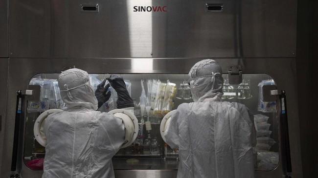 Vaksin berfungsi untuk melawan virus yang masuk dengan merangsang sistem kekebalan tubuh dengan antigen.