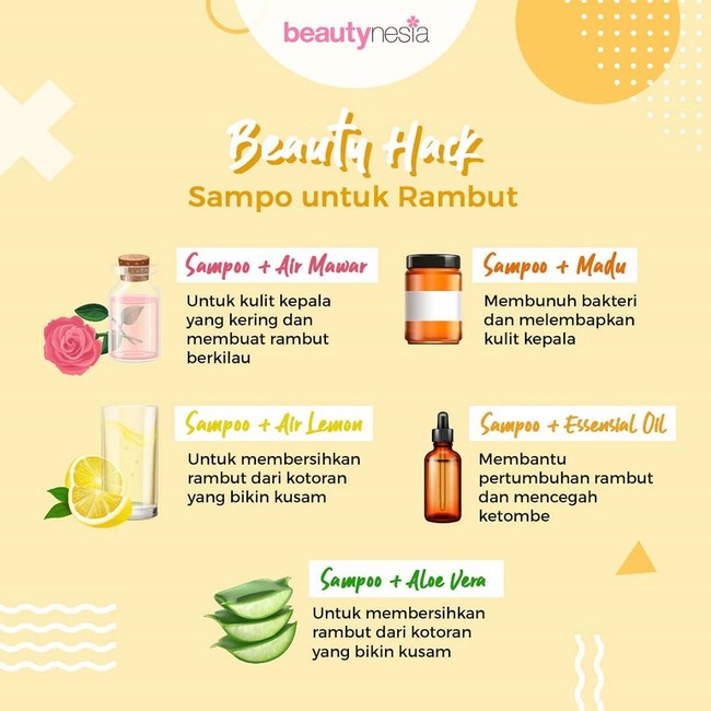 Infografis - beauty hack shampoo