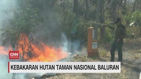 VIDEO: Kebakaran Hutan Taman Nasional Baluran