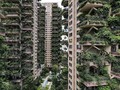 FOTO: Menengok Apartemen Berbalut Dedaunan di China