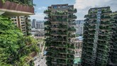 FOTO: Menengok Apartemen Berbalut Dedaunan di China Dibangun pada 2018 lalu, setiap balkon apartemen ini dirancang sebagai ruang untuk berbagai tanaman rindang tumbuh.