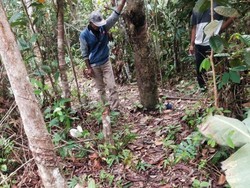 Pemuda di Sumsel Perkosa Bocah Usai Dibunuh, Ngaku Dendam ke Ibu Korban