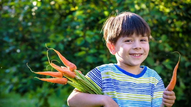 little boy has a carrot in his hand, looks with his finger on carrot, healthy food concept, facial emotions positive, in orange T-shirt, isolated blue background, copy space.
