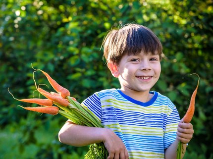 Sehat & Bergizi, Ini 5 Makanan yang Baik untuk Perkembangan Otak Anak