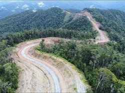 Proyek Trans Papua Digeber, Kini 29 Jembatan Bakal Dibangun