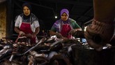 FOTO: Melawat Kampung Patin di Riau Sebuah desa bernama Koto Masjid, Kampar terkenal dengan sebutan Kampung Patin. Sejak 2002 lalu, daerah itu jadi sentra ikan patin terintegrasi di Riau.