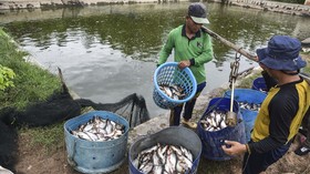 FOTO: Melawat Kampung Patin di Riau