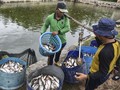 FOTO: Melawat Kampung Patin di Riau