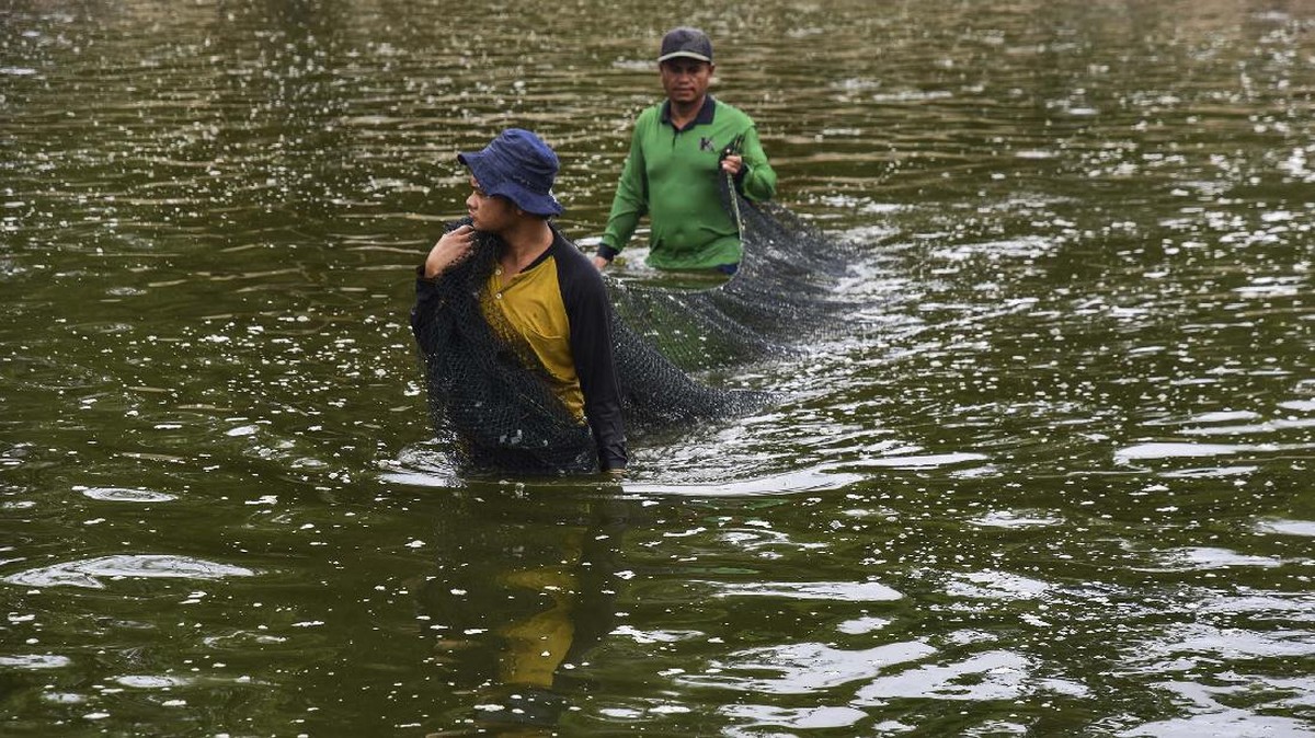 FOTO: Melawat Kampung Patin di Riau