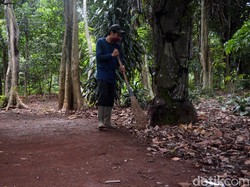 Revitalisasi Cagar Alam Depok Buat Apa Sih?