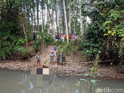 Telinga Mayat Pria di Jember yang Hilang Terkuak, Ternyata Digigit Biawak