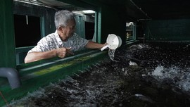 FOTO: Beternak dan Berkebun di dalam Kontainer Bekas