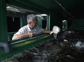 FOTO: Beternak dan Berkebun di dalam Kontainer Bekas