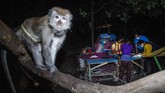 FOTO: Sensus Penduduk Tunawisma Saat Tengah Malam BPS melakukan sensus penduduk tengah malam untuk mendata para tunawisma di sekitar pasar, terminal hingga pelabuhan.