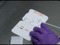 VIDEO: AS Sebar 150 Juta Rapid Test untuk Warga
