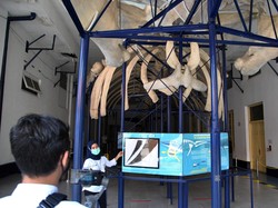 5 Rekomendasi Museum untuk Liburan Sekolah