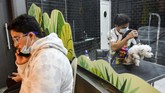 FOTO: The Barking Lot, Kafe Anjing Pertama di Arab Saudi Di The Barking Lot, majikan bisa santai minum kopi sembari bermain dengan anjing peliharaannya