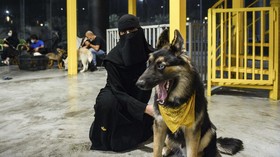 Arab Saudi Kini Punya Kafe Anjing