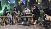 FOTO: The Barking Lot, Kafe Anjing Pertama di Arab Saudi Di The Barking Lot, majikan bisa santai minum kopi sembari bermain dengan anjing peliharaannya