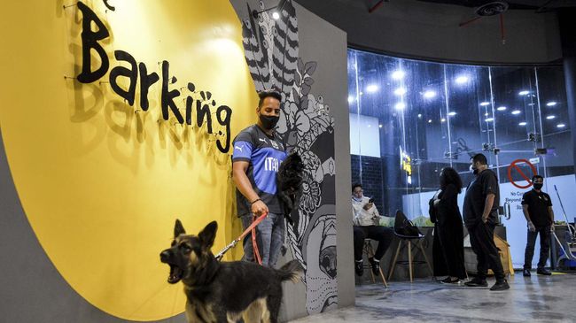 Pemilik anjing di Arab Saudi sekarang dapat menikmati secangkir kopi bersama hewan peliharaan mereka di sebuah kafe baru di kota pesisir Khobar.