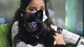 FOTO: The Barking Lot, Kafe Anjing Pertama di Arab Saudi Di The Barking Lot, majikan bisa santai minum kopi sembari bermain dengan anjing peliharaannya