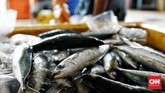 FOTO: Sentra Penjualan Ikan Mulai Lesu Saat Pandemi Corona Para nelayan masih aktif menangkap ikan di tengah pandemi corona. Sayangnya, pembelian mulai lesu, terutama ekspor hasil laut.