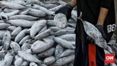 FOTO: Sentra Penjualan Ikan Mulai Lesu Saat Pandemi Corona Para nelayan masih aktif menangkap ikan di tengah pandemi corona. Sayangnya, pembelian mulai lesu, terutama ekspor hasil laut.