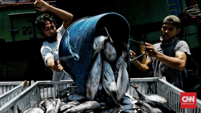 Pemerintah membangun lumbung ikan nasional di Maluku untuk mendorong perekonomian di kawasan timur Indonesia. 