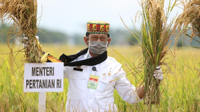 Menteri Pertanian Syahrul Yasin Limpo merayakan panen padi di lahan program olah tanah gratis seluas 8.000 hektare, di Gampong Tumbo, Kabupaten Aceh Besar.