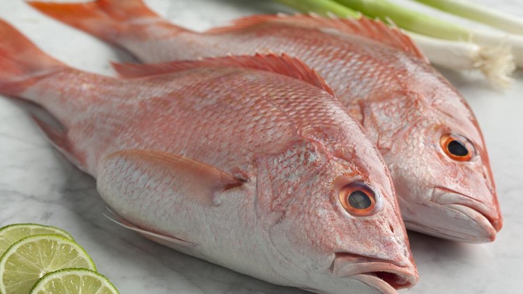 Pindang Ikan Kakap