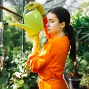 Anti Repot! 5 Tanaman Hias yang Tak Perlu Disiram Tiap Pagi Ladies