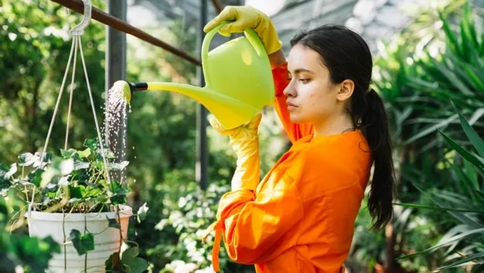 Anti Repot! 5 Tanaman Hias yang Tak Perlu Disiram Tiap Pagi Ladies