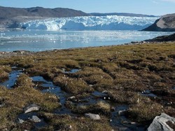 Gletser Greenland Mencair Tercepat dalam 12.000 Tahun Terakhir