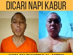 Cai Changpan Sembunyi di Hutan Tenjo, Polisi: Dia Sering Berburu di Sana