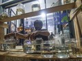 Alasan Mengapa Ikan Cupang Mengeluarkan Gelembung