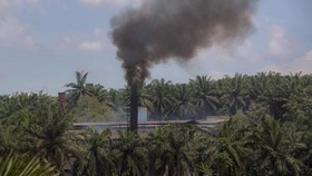 Anak Haji Isam Baru 21 Tahun Jadi Komut Jhonlin Agro Raya